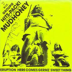 The Melvins : H.I.V. Groupie Hits-Pack!